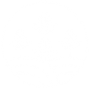 icon2